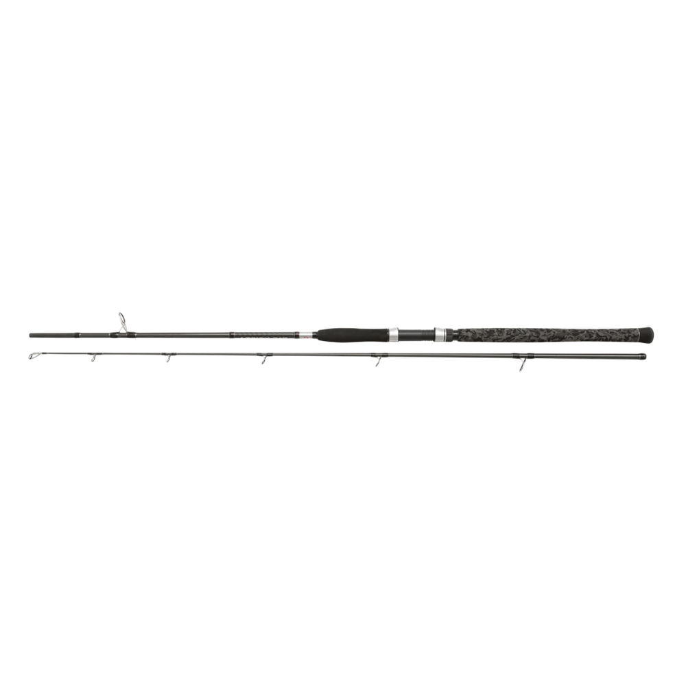 Penn Legion Cat Silver Spin 2,70m 40-160g Wallerrute Welsrute